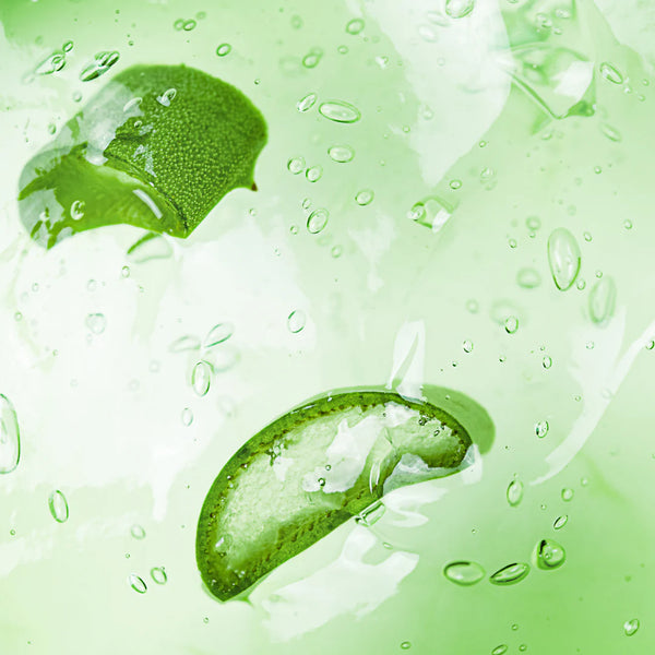 Aloe Vera Extract